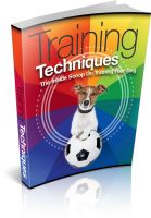 Training Techniques
