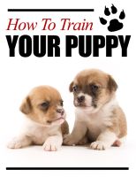How to Train your Puppy.